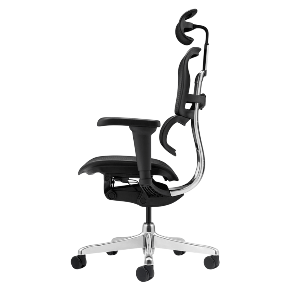 Scaun birou mesh Ergohuman negru [6]