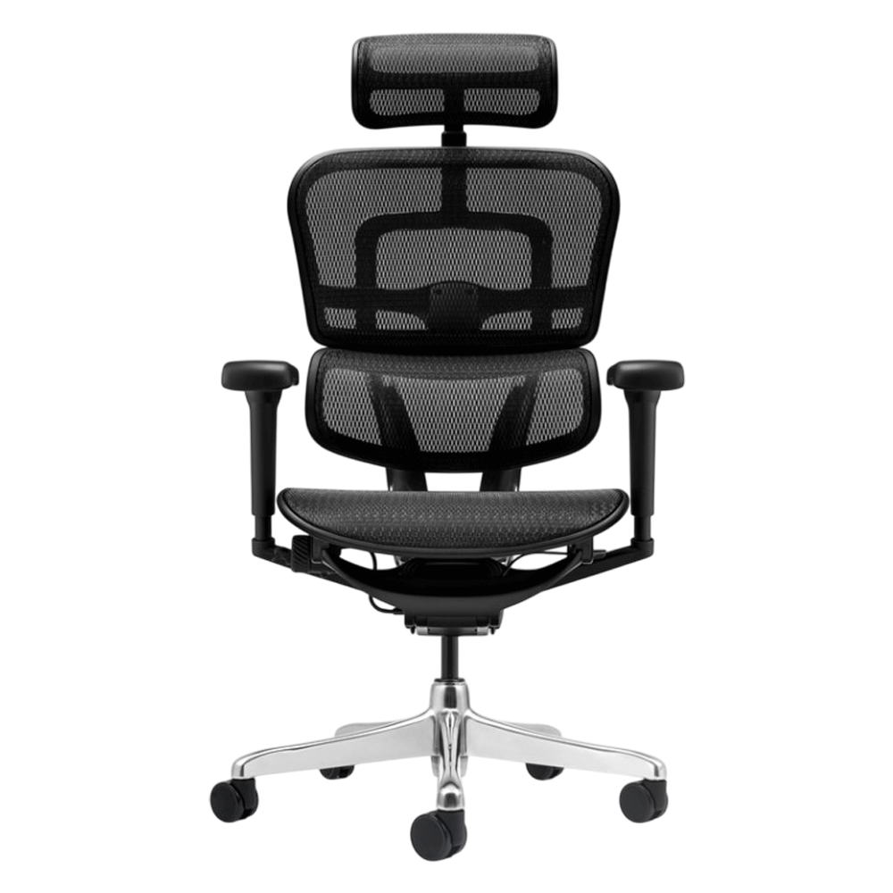 Scaun birou mesh Ergohuman negru [3]