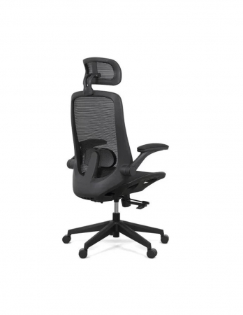Scaun ergonomic multifunctional SYYT 9509 [6]