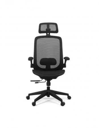 Scaun ergonomic multifunctional SYYT 9509 [5]