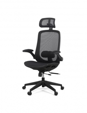 Scaun ergonomic multifunctional SYYT 9509 [1]