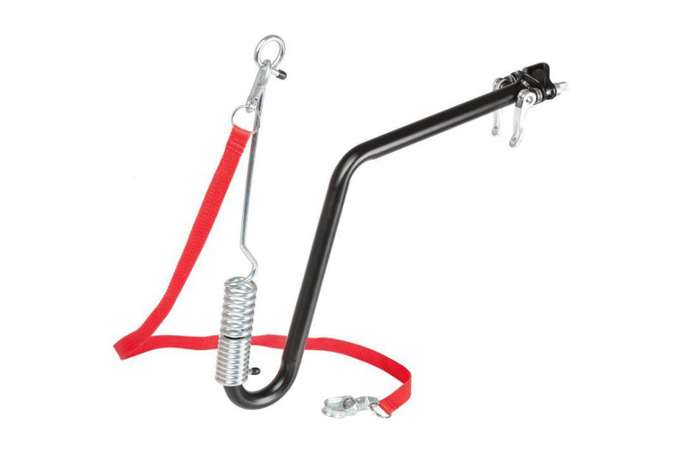 CARLIG CATEI BONIN [1]