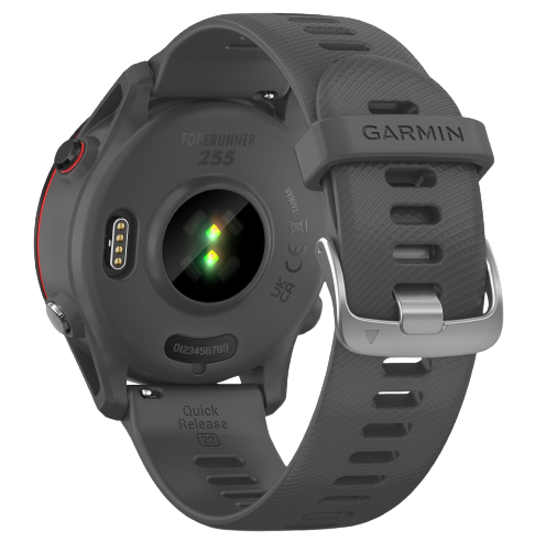 Garmin Forerunner 255, Gray [3]