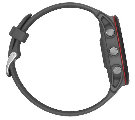 Garmin Forerunner 255, Gray [4]