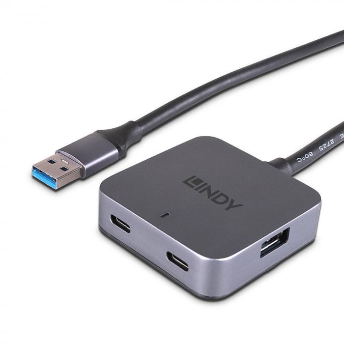 Hub Lindy 4 Port USB 3.0 5m [1]