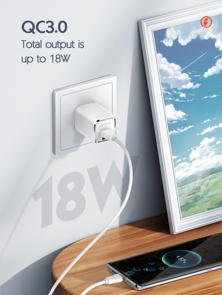 INCARCATOR RETEA SERIOUX 30W QC [6]