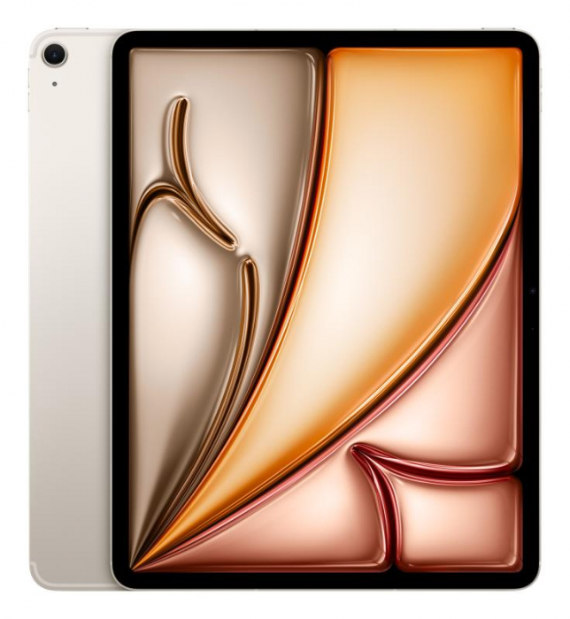 IPAD AIR 13 WF CL 256GB STL-HCZ [2]