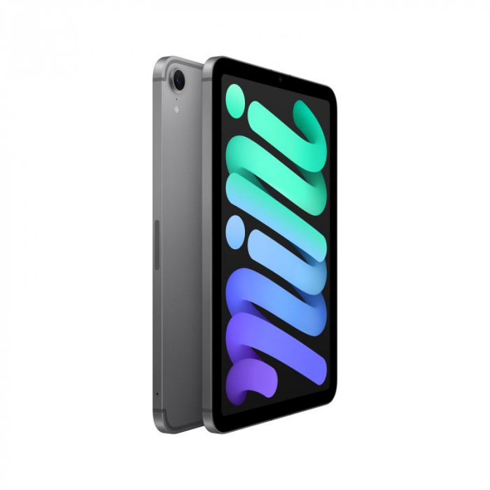 IPAD MINI WI-FI CL 512GB SPACE GRAY-HCZ [4]