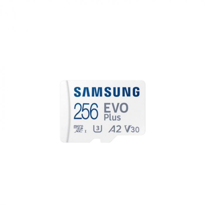 MICROSD PRO PLUS 256GB CL10 W/A SM [1]