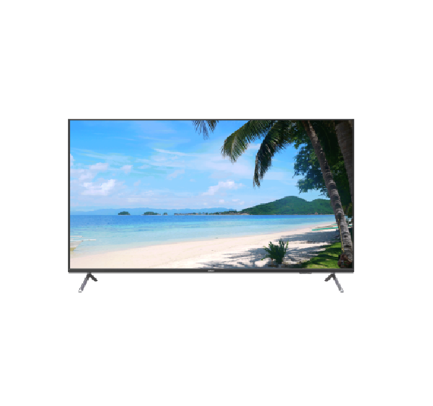 MONITOR DAHUA LM55-F400 [1]