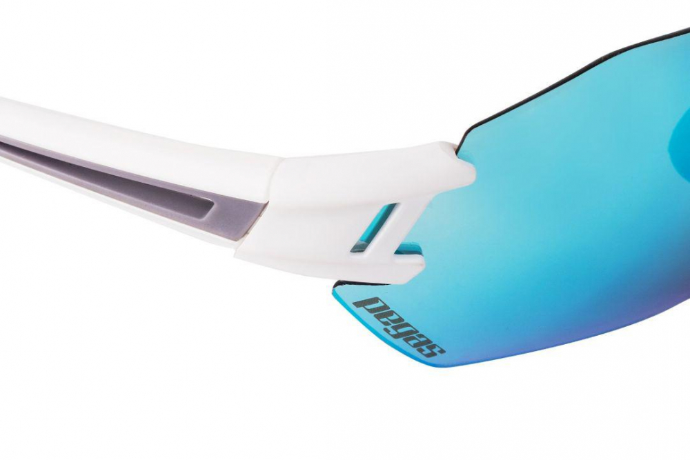 OCHELARI PEGAS RACE [7]