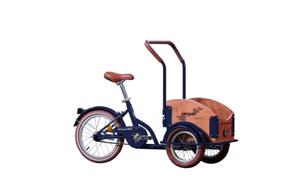PEGAS MINI CARGO 1S ALBASTRU CALATOR [1]