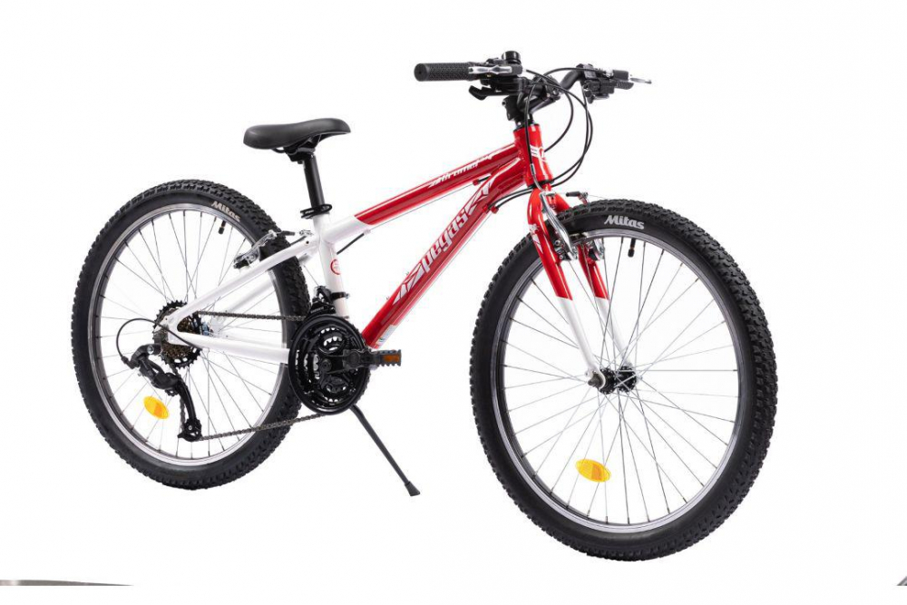 PEGAS MINI DRUMET 24'' ROSU ALB [14]