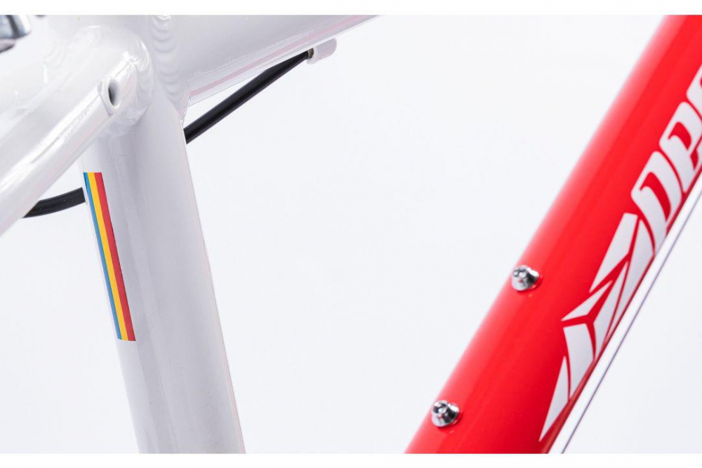 PEGAS MINI DRUMET 24'' ROSU ALB [8]