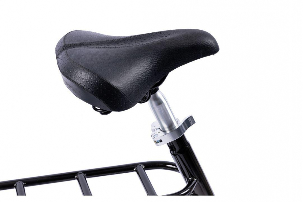PEGAS PRACTIC RETRO 20'' OTEL 1S NEGRU [11]