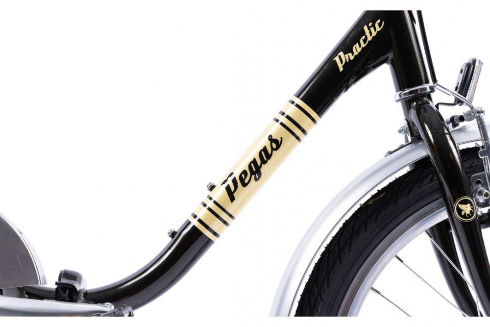 PEGAS PRACTIC RETRO 20'' OTEL 1S NEGRU [10]