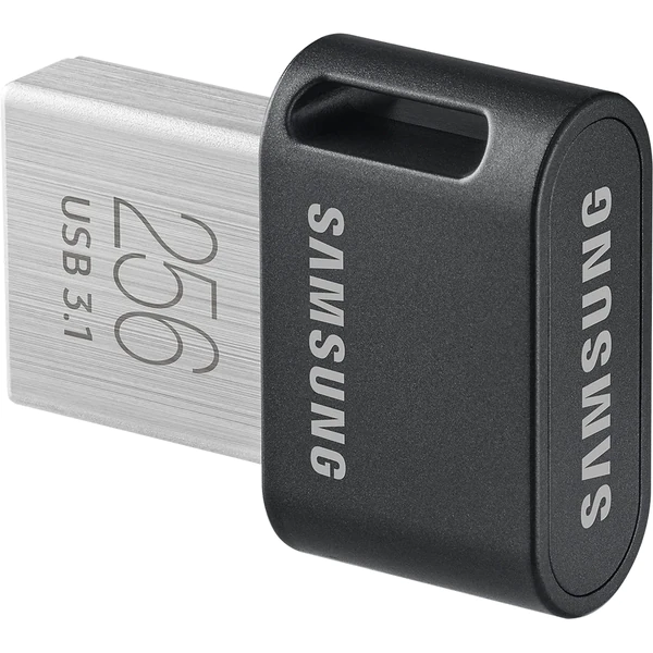 SM USB 256GB FIT PLUS MICRO 3.1 [1]