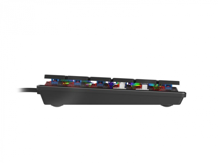 Tastatura Genesis Thor 420 CSB gri [7]