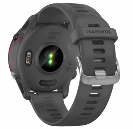 Garmin Forerunner 255, Gray [2]