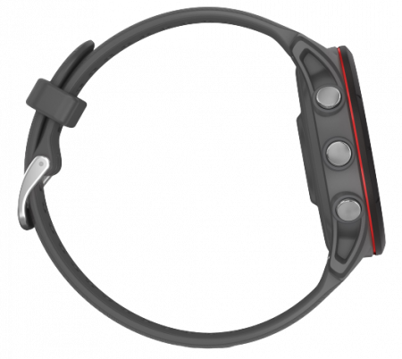 Garmin Forerunner 255, Gray [3]