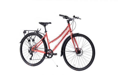 HOINAR 28'' ROZ GRI [1]