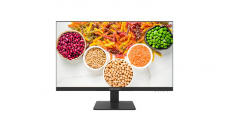 IT & DIGITAL SIGNAGE - LED MONITOR DS-D5027F2-1P2