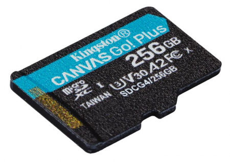 MicroSD Kingston Canvas GO Plus 256GB [2]