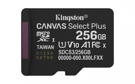 MICROSDXC 256GB SELECTPLUS SDCS3/256GBSP [1]