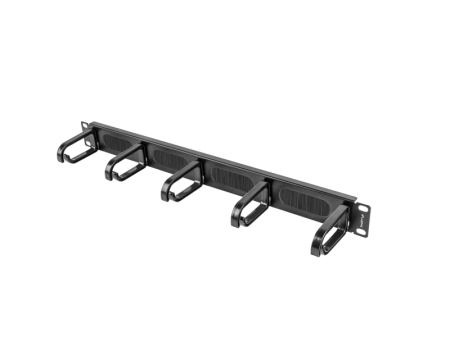 SERVERE, COMPONENTE & UPS - Panou mngmt cabluri cu perii, 5 inele ng