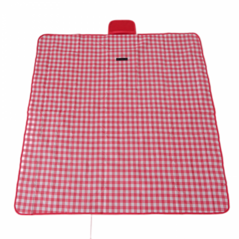PATURA PICNIC 145X200 CM CAROURI [2]