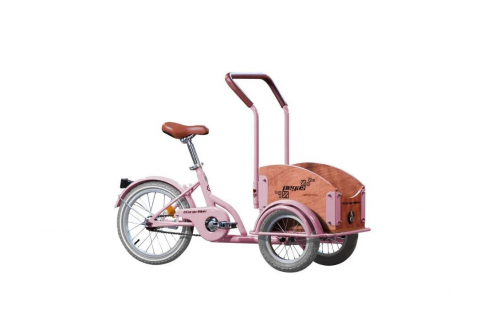 Produse - PEGAS MINI CARGO 1S ROZ BUJOR