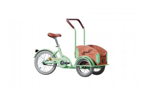 Produse - PEGAS MINI CARGO 1S VERDE FISTIC