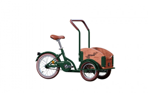 Produse - PEGAS MINI CARGO 1S VERDE SMARALD