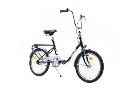 PEGAS PRACTIC RETRO 20'' OTEL 1S NEGRU [6]