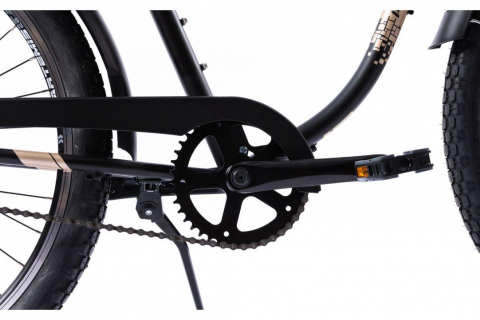 PEGAS STRADA 1 26'' OTEL 1S NEGRU MAT [6]