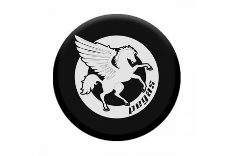 POPSOCKET [2]