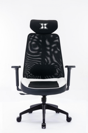 CONSOLE & JOCURI - SCAUN GAMING SERIOUX KYRIAN WHITE