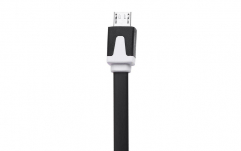 Stop Raypal 2262 [6]