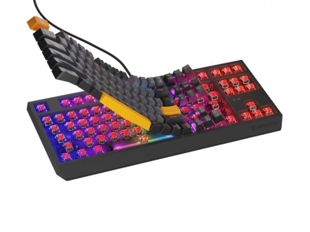 Tastatura Genesis Thor 230 TKL R gri [5]