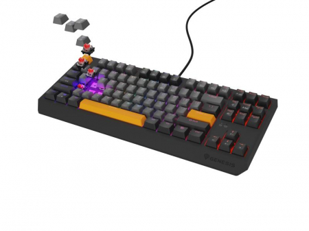 Tastatura Genesis Thor 230 TKL R gri [2]