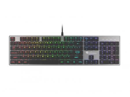 Tastatura Genesis Thor 420 CSB gri [2]