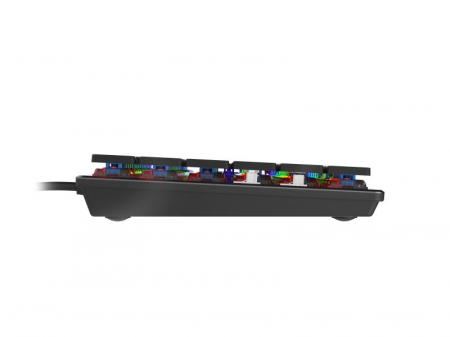 Tastatura Genesis Thor 420 CSB gri [6]