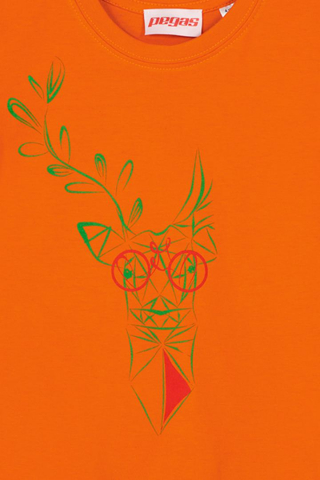 TRICOU CERB FAMILIE COPII ORANGE-4 [2]