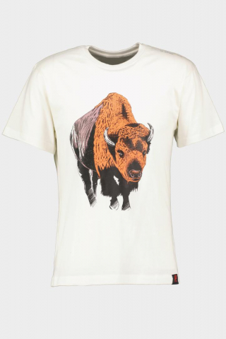 Produse - TRICOU ZIMBRU