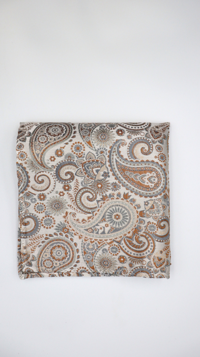 Batista din mătase naturală paisley ivory cu accente gri & cărămiziu [2]