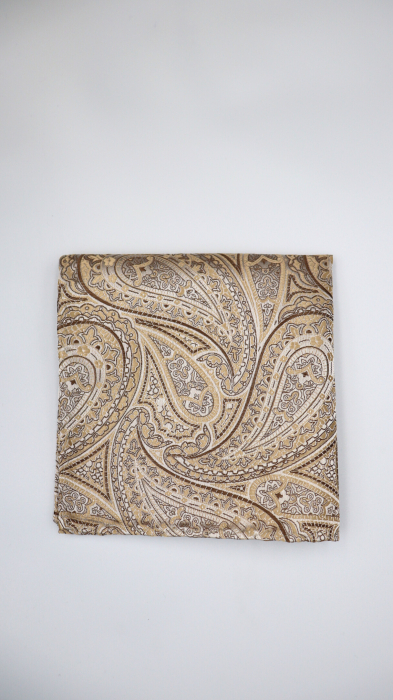 Batista ESCUDO bej-auriu cu model paisley [2]