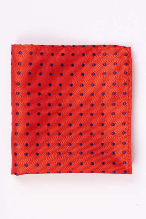 Batista rosie cu elemente geometrice albastre [2]