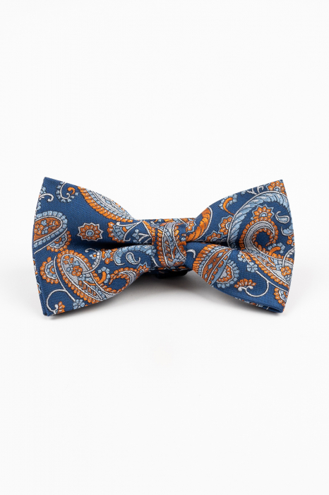 Papion albastru cu model paisley ruginiu si bleu [2]