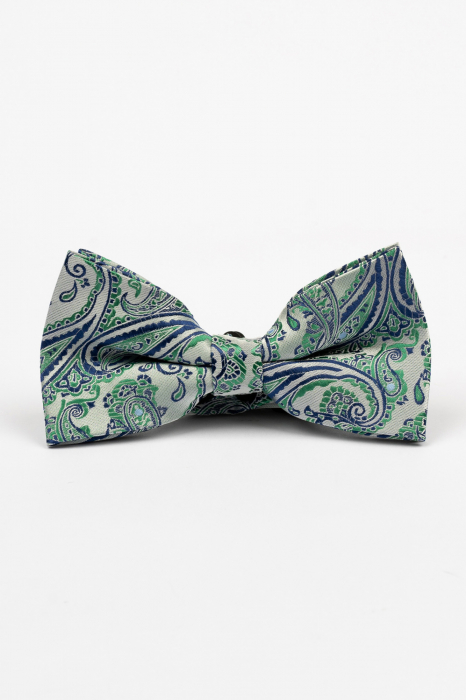 Papion argintiu cu model paisley verde si albastru [2]