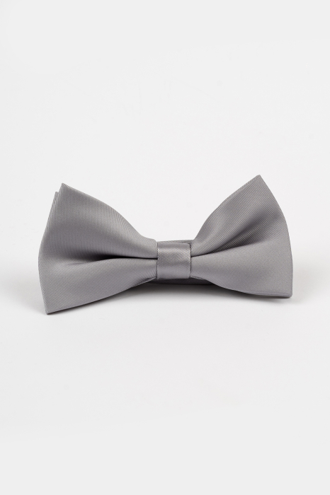 Papion gri-deschis [2]